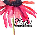 logo pluk zonder websitekopie.jpg